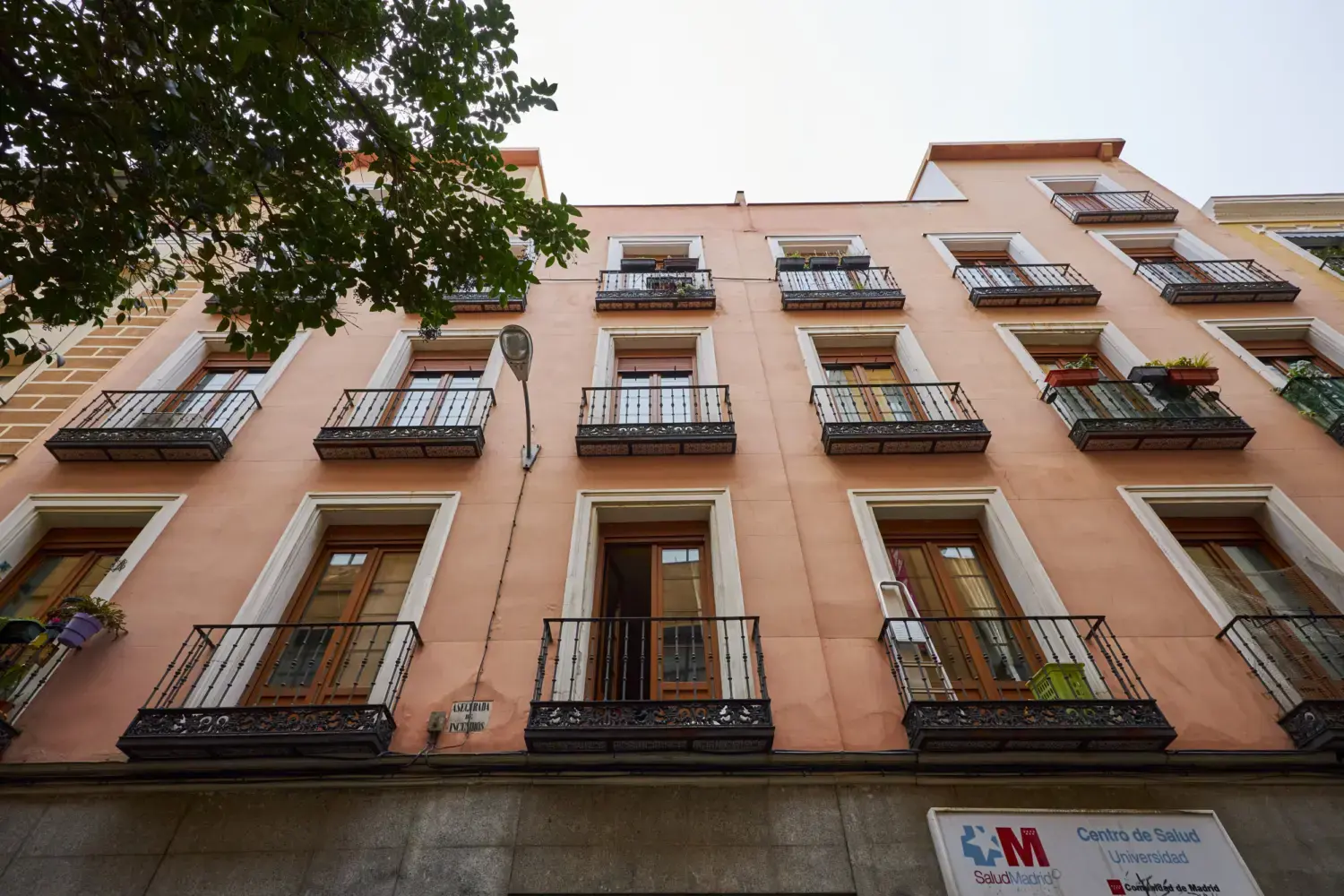 Palma 51 _ 1